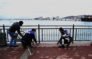 Kuşadası’nda olta balıkçılarına korona virüs...