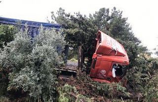 Kuşadası’nda tır tarlaya uçtu