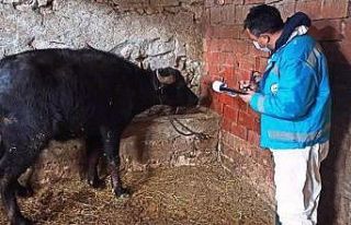 Kütahya’da “Halk Elinde Anadolu Mandasının...
