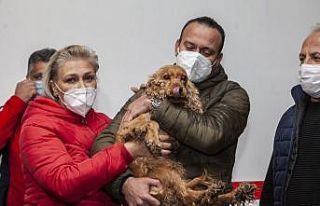 Kuyuya düşen köpek kurtarıldı