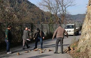 Mahallelinin üstüne taş yağıyor