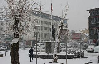 Malazgirt’te kar yağışı
