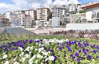 Mamak yeşil alanda altın çağlarını yaşıyor