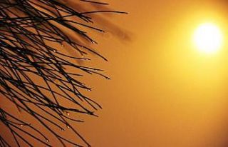 Manisa’da etkili olan sis sürücülere zor anlar...