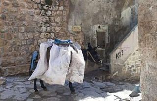 Mardin’in ’kadrolu eşekleri’ kısıtlamalarda...
