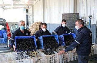 Marmarabirlik’ten üreticiye ödeme