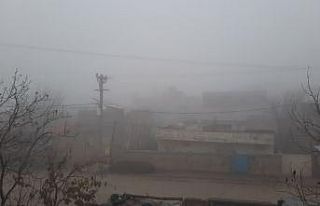 Mazıdağı’nda etkisini gösteren sis hayatı olumsuz...