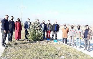 Meclis üyeleri fidan dikiminde bir araya geldi