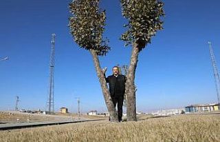 Melikgazi’de 80 parkta son 23 gün