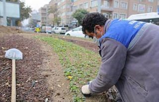 Melikgazi’nin kavşakları kışın da çiçek açtı