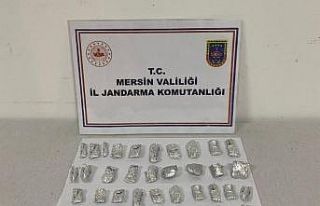 Mersin’de bonzai satıcıları suçüstü yakalandı