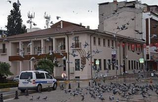 Meydanlar sokak hayvanlarına kaldı