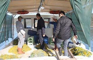 Milas’ta yasadışı su ürünleri avcılığının...