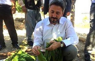 Milletvekili Aydın’dan Adıyaman Tütünü açıklaması