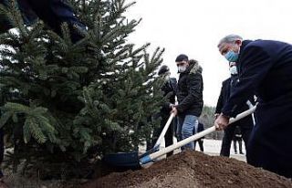Milli Savunma Bakanı Akar gaziler ile birlikte fidan...