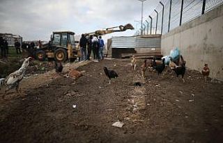 Milyonluk arazideki gecekondu kümesler toma ve çevik...