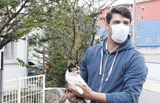 Mola yerinde kaybettiği kedisi için 400 kilometre...