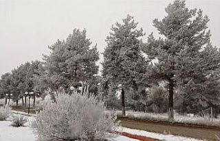 Muş buz kesti