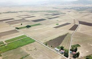 Muş ve Bitlis’te 189 bin 180 dekar alanda toplulaştırma...