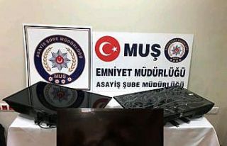 Muş’ta hırsızlık: 4 tutuklama