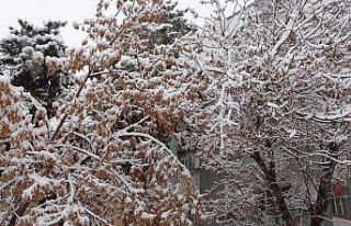 Muş’ta lapa lapa kar yağışı