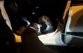 Narkotik köpeği Miror uyuşturucuya geçit vermiyor
