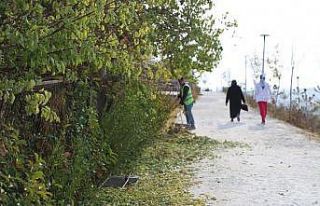 Niğde’deki yeşil alanlara periyodik bakım yapılıyor