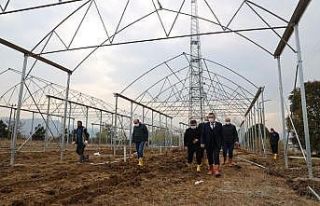 ODÜ uygulama arazisinde seralar kuruluyor