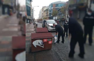 Odunpazarı Belediyesi sokakta yaşayan hayvanları...