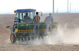 Odunpazarı Belediyesi’nin 650 dekarlık tarım...