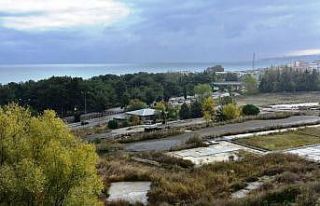 OMÜ’de çevre düzenleme çalışmaları