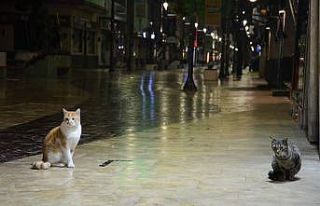Ordu sokaklarında kısıtlama sessizliği