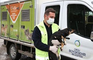 Ordu’da can dostlar unutulmadı