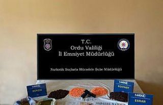 Ordu’da torbacı operasyonu: 12 gözaltı
