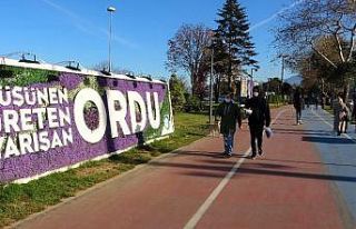 Ordu’da vakaların en önemli artış nedeni: ‘ev...