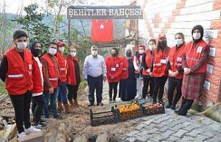 Ordulu şehit ailelerine en anlamlı ikram