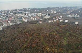 Ordu’ya yapılacak bin yataklı şehir hastanesinin...