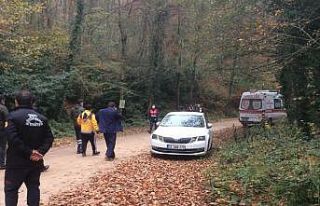 Ormanda kestiği ağaç ölümüne neden oldu