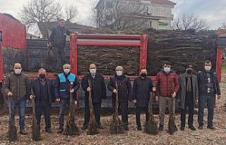 Osmaneli’nde meyve ormanları oluşmaya başladı