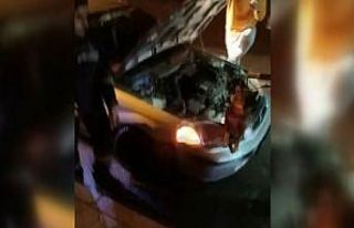 Otomobilin kaputunun altına giren tilkiyi itfaiye...