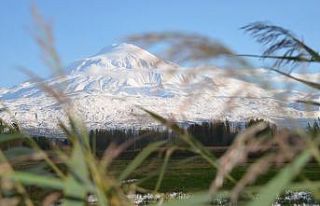 Ovanın yeşili ile bütünleşen Ağrı Dağı görenleri...