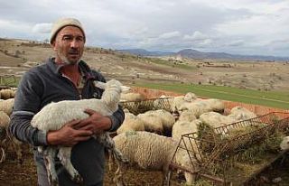 (Özel) Afyonkarahisar’ın ‘Mandıra Filozofu’na...