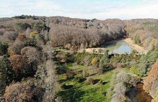 (ÖZEL) Atatürk Arboretumu’nda sonbahar manzarası
