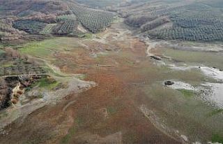 (Özel) Bursa’da kuraklık alarmı...40 yıldır...