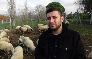 (Özel) Genç çoban can sıkıntısı diye başladı,...