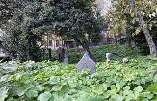 (Özel) İstanbul’da tarihi hazirenin içler acısı...