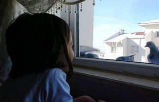 (Özel) Minik Berre’nin hayvan sevgisi