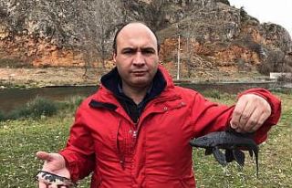 (Özel) Suların kalitesini yok eden istilacı balıklar...