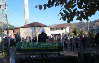 Özgür-Der Yönetim Kurulu üyesi Av. Necip Kibar...