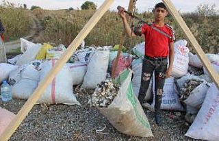 Pamuk kıymete binince, makineden arta kalanlar da...